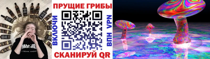 Псилоцибиновые грибы Psilocybe  Ладушкин 