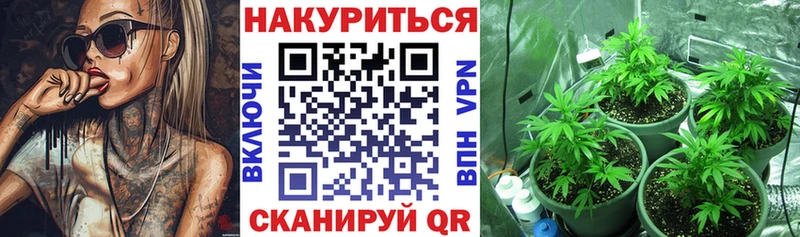 Канабис план  Ладушкин 